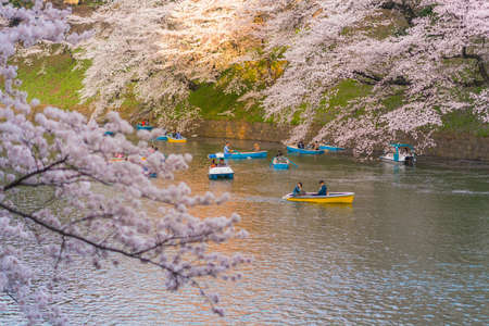 Tokyo, Japan - March 28, 2018 : people boating and enjoy at chidorigafuchi for sight seeing sakura cherry blossom festival in full bloom of spring season and beautiful landscapeのeditorial素材