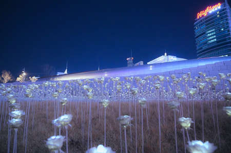 Seoul, Korea - Dec 7, 2018 :  LED rose garden at Dongdaemun Design Plaza in winter season this time is very cold and nearly snow and Christmas festivalのeditorial素材