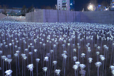 Seoul, Korea - Dec 7, 2018 :  LED rose garden at Dongdaemun Design Plaza in winter season this time is very cold and nearly snow and Christmas festivalのeditorial素材