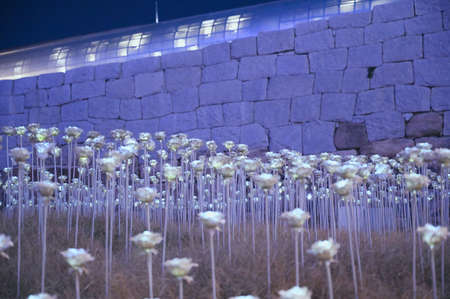 Seoul, Korea - Dec 7, 2018 :  LED rose garden at Dongdaemun Design Plaza in winter season this time is very cold and nearly snow and Christmas festivalのeditorial素材
