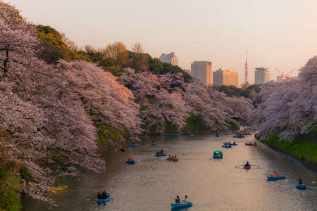 Tokyo, Japan - March 28, 2018 : people boating and enjoy at chidorigafuchi for sightseeing sakura cherry blossom festival in full bloom of spring season and beautiful landscapeのeditorial素材