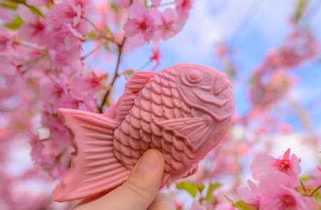 Taiyaki  Pink Fish Sweet Dessert with an ealy blooming Kawazu Sakura Blooming in winter season .Beautiful Japan Sakura tree ( Cherry Blossom ) with blue sky background.の写真素材