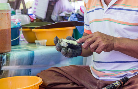 A man is peeling the fresh oyster for sell
