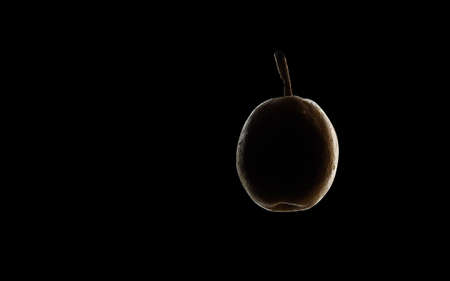 A lighting pear on the black backgroundの写真素材