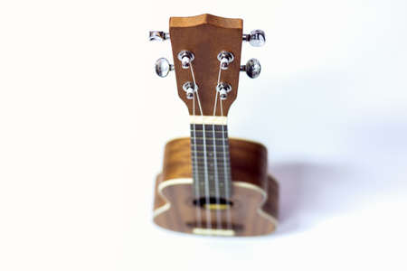 The brown ukulele on the white backgroundの写真素材