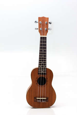 The brown ukulele on the white backgroundの写真素材