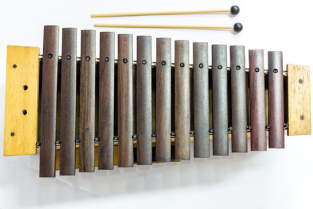 The xylophone and two mallets on the white background