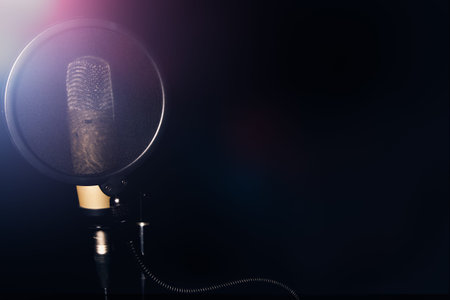 Professional condenser microphone with pop filter in black background