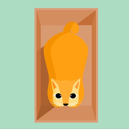 Vector - a playful cat in the box and looking up, illustrationのイラスト素材