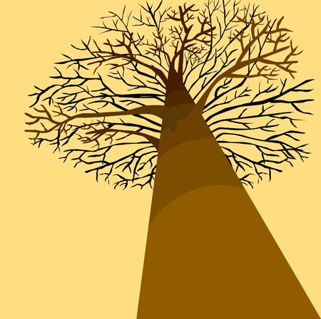 A tree without leaf illustrationのイラスト素材