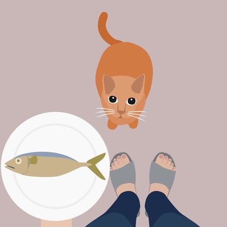 a cat sitting and looking up to its owner waiting for fish illustration.のイラスト素材
