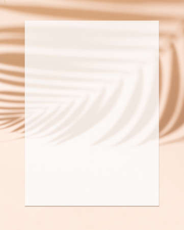 Coconut leaf pattern on nude color backgroundの写真素材
