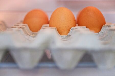 Chicken egg in panel eggsの写真素材