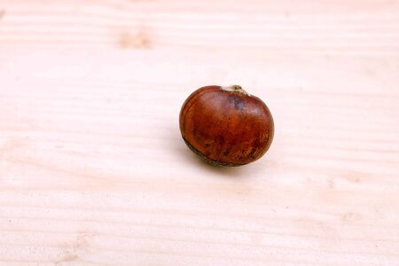 Chestnut on the Table Woodenの写真素材