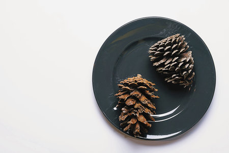 Top view with copy space,Christmas decoration, Two Pine cones in empty dark plate were placed on white backgroundの写真素材