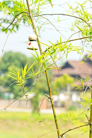 The doll Teru Teru bouzu hanging, Ceramic white raindrops Japanese doll with nature background.の写真素材