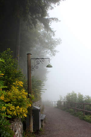 foggy Pathway in Harder Klum, Interlaken, Switzerlandの写真素材