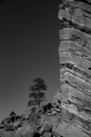 mountain with lonely treeの写真素材