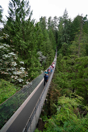 suspension bridge in alaska filled with many people exploring through it during the dayの写真素材