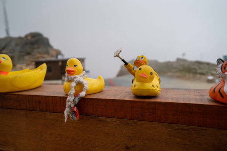 rubber duck with selfie stick on top of ledge with other yellow rubber ducksの写真素材