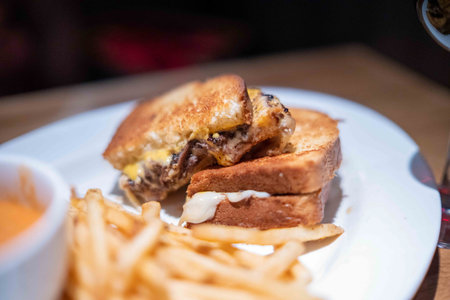 cheesy and delicious grilled cheese with short rib and brisket with a side of fries at new american restaurantの写真素材