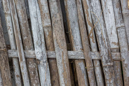 bamboo textureの写真素材