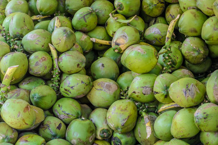 Lots of Coconuts
