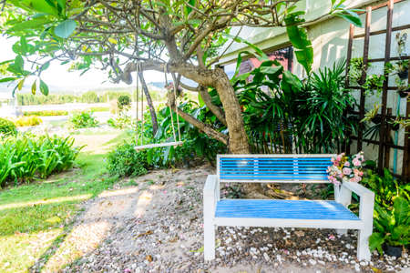 Blue chairs in the garden.の写真素材