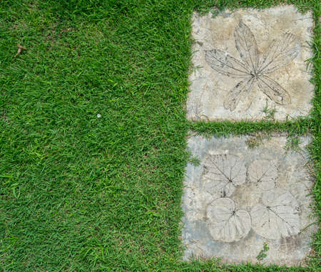 Garden stone path with grassの写真素材