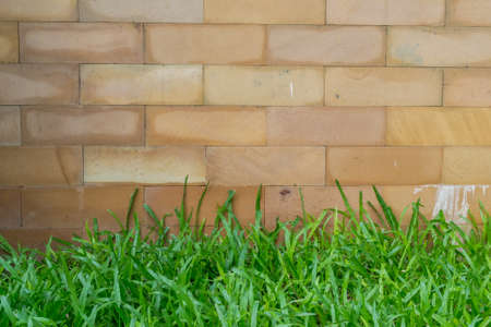 Brown stones bricks wall and green grass backgroundの写真素材
