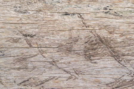 Old Wood Texture for Backgroundの写真素材