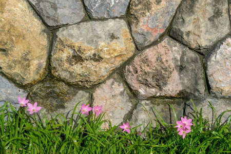 Stone wall with flowersの写真素材