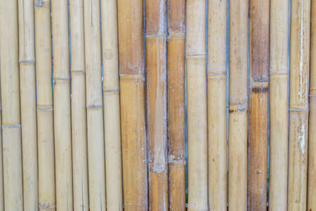 bamboo texture pattern backgroundの写真素材