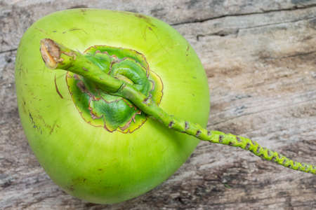 Fresh Coconut isolated on wood backgroundの写真素材