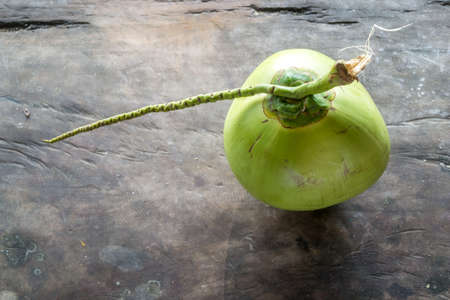 green coconut on wood backgroundの写真素材