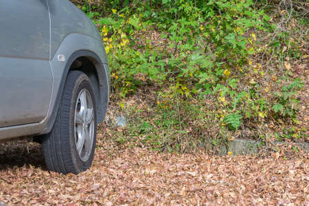 Wheels on autumn Leaves in Japanの写真素材