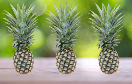 Wooden platform beside abstract blurred foliage background with 3 pineapplesの写真素材