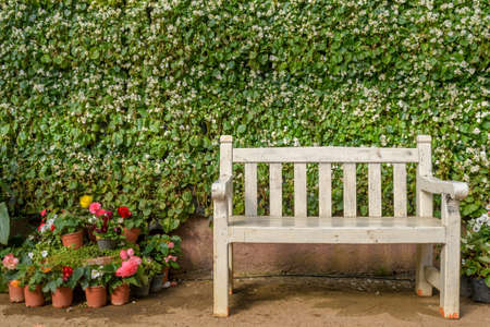 White Bench in garden flowers in public garden, Chiang Mai province, Thailandの写真素材