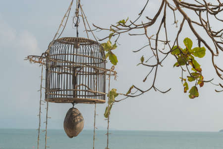 Lamps made from bamboo, Handmade in thailand, hanging lamp made from wood with blur beach backgroundの写真素材