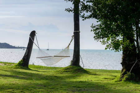 hammock between coconut trees at garden with beach background,Koh Samui in Thailandの写真素材