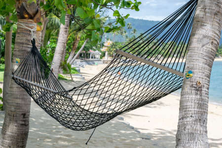 Empty hammock between coconut trees on the beach ,Koh Samui in Thailandの写真素材