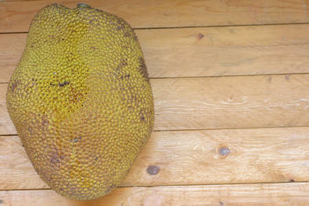 Green jack fruit on wood backgroundの写真素材