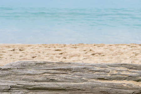 Close up of Log on the beachの写真素材