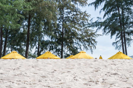 Yellow Umbrellas on the Bang Tao beach , Phuket in Thailandの写真素材