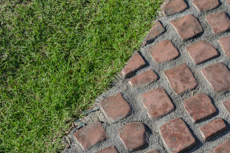 pathway on grass in gardenの写真素材
