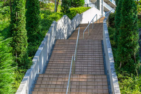 Concrete stairways with trees in Japanの写真素材
