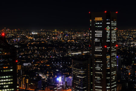 Tokyo night view from metropolitan government officeの写真素材