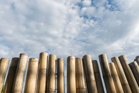 Bamboo wall with clouds and sky background.の写真素材