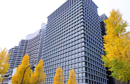 tall office building tokyo station zone autumn season , tokyo city , business cityのeditorial素材