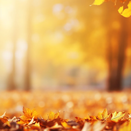autumn leaves on the ground in the park, shallow depth of fieldの素材